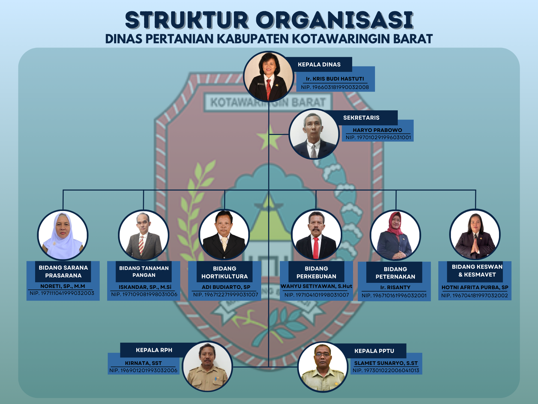 STRUKTUR ORGANISASI